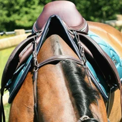 Colliers De Chasse*Canter - Collier de chasse surpiqué Marron