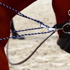 - Enrênement à poulies pour longe corde Pessoa