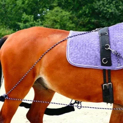 - Enrênement à poulies pour longe corde Pessoa