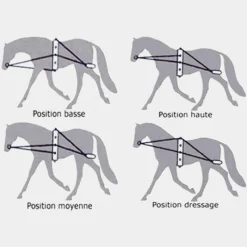 - Enrênement à poulies pour longe corde Pessoa