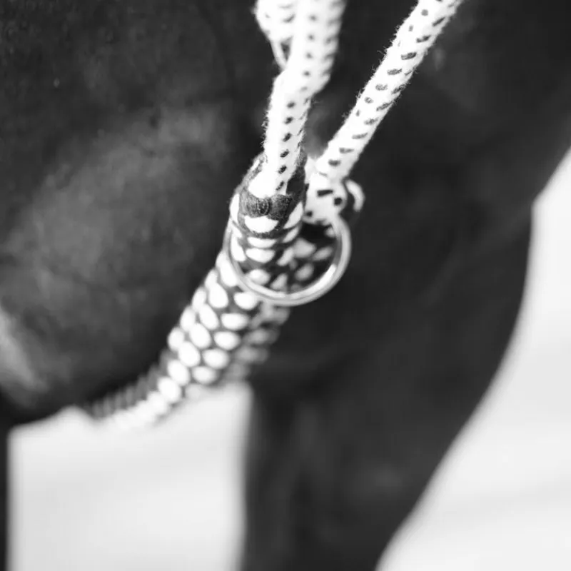 Discount - Enrênement Soft Ride Enrênements Poneys|Enrênements Coton