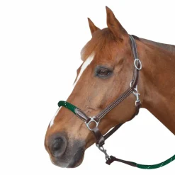 Élevage|Licols Poneys*Canter - Licol cheval corde /vert boucles blanche Marron