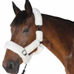 Licols Poneys*Canter - Licol de transport naturel