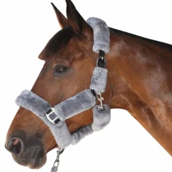 Clearance - Licol de transport gris Licols Poneys