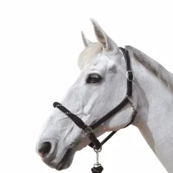 Licols Poneys|Licols En Cuir*Canter - Licol en corde bouclerie argent / argent Noir