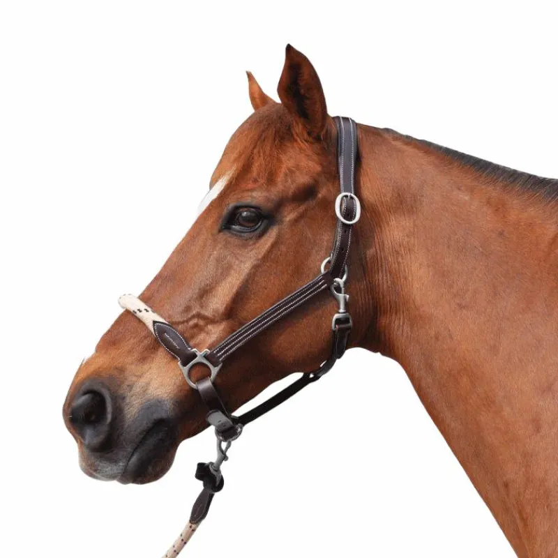 Outlet - Licol en corde bouclerie argent / beige Licols Poneys|Licols En Cuir