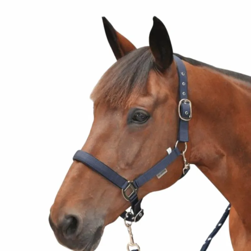 New - Licol nylon doublé Licols En Nylon