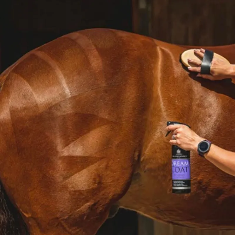 Lustrants*Carr & Day & Martin - Lustrant Dreamcoat