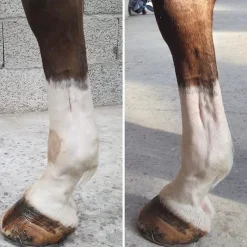 Online - Argile après effort Argiles