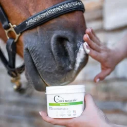 Sale - Baume solaire SPF50+ Protection Solaire