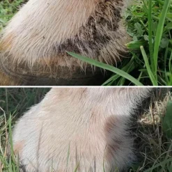 Sale - Baume solaire SPF50+ Protection Solaire