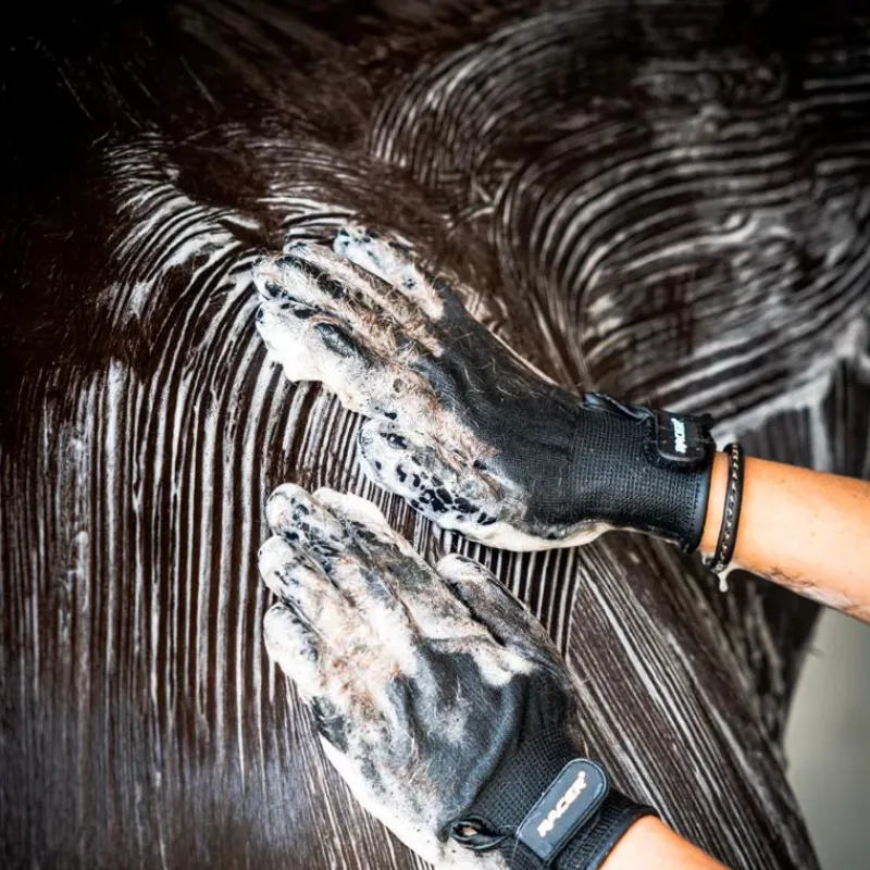 Discount - Shampoing pour chevaux à l'orchidée Shampoings Pour Chevaux