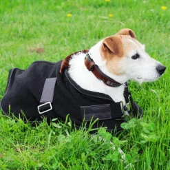 - Couverture pour chien polaire Teddy 280g Manteaux