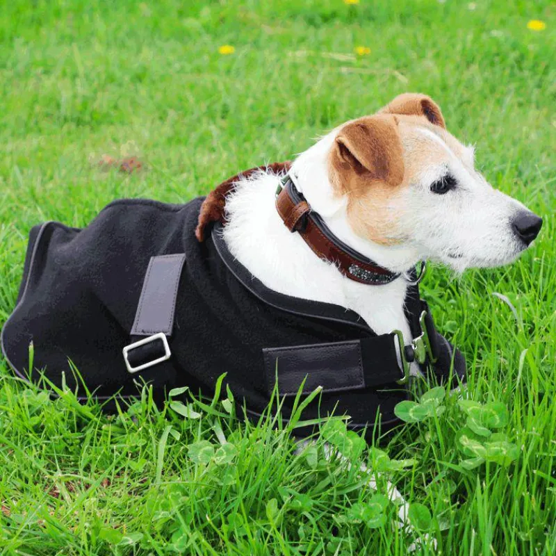 - Couverture pour chien polaire Teddy 280g Manteaux