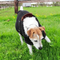 - Couverture pour chien polaire Teddy 280g Manteaux