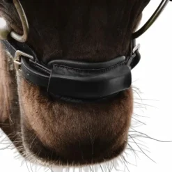 Outlet - Attache de muserolle 1/2 New English Collection Accessoires De Bridon