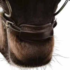 Accessoires De Bridon*Dyon - Attache de muserolle 1/2 New English Collection Marron