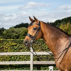 Brides*Dyon - Bride muserolle large matt Rond Leather Collection Noir