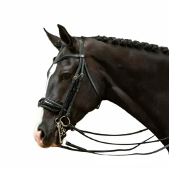 Brides*Dyon - Bride muserolle large vernie Working by Noir