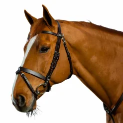 New - Bridon cuir plat avec mousquetons Working by Bridons Poneys|Bridons