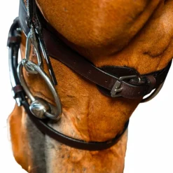 New - Bridon cuir plat avec mousquetons Working by Bridons Poneys|Bridons