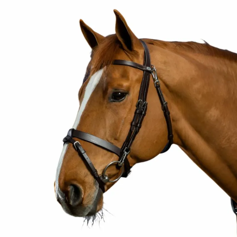 Online - Bridon cuir plat avec mousquetons Working By Bridons Poneys|Bridons