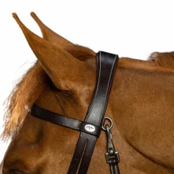 Online - Bridon cuir plat avec mousquetons Working By Bridons Poneys|Bridons