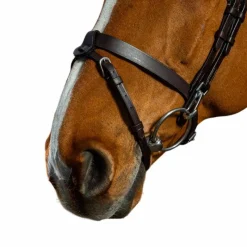Online - Bridon cuir plat avec mousquetons Working By Bridons Poneys|Bridons