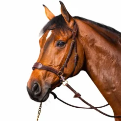 New - Bridon D Motion D Collection têtière anatomique Bridons Poneys|Bridons