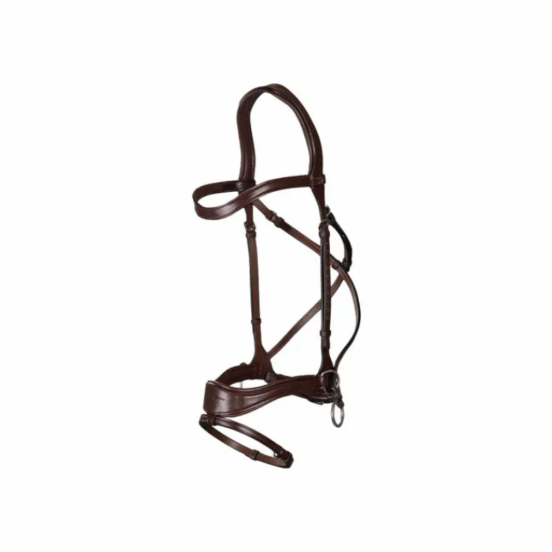 Discount - Bridon D Motion New English Collection têtière anatomique Bridons Poneys|Bridons