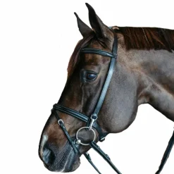 Bridons Poneys|Bridons*Dyon - Bridon de travail Working by cuir Noir