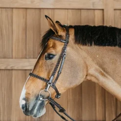 Bridons Poneys|Bridons*Dyon - Bridon d'entraînement Tressé Working By Dy'on Havane