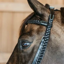 Clearance - Bridon d'entraînement Tressé Working By Dy'on Bridons Poneys|Bridons