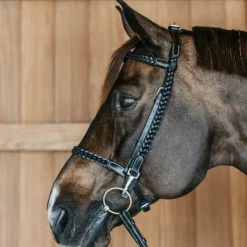 Clearance - Bridon d'entraînement Tressé Working By Dy'on Bridons Poneys|Bridons