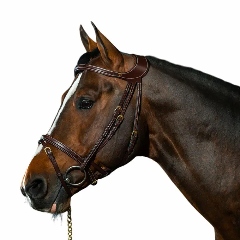 Discount - Bridon Différence D Collection Bridons Poneys|Bridons