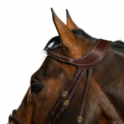 Discount - Bridon Différence D Collection Bridons Poneys|Bridons