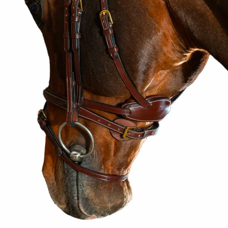 Discount - Bridon Différence D Collection Bridons Poneys|Bridons