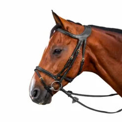 Outlet - Bridon Différence D Collection Bridons Poneys|Bridons