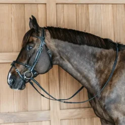 Hot - Bridon en cuir rond Working By Dy'on têtière anatomique Bridons Poneys|Bridons