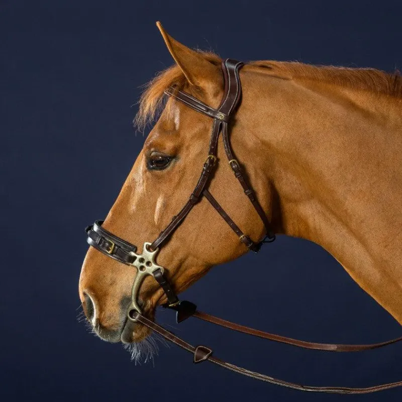 - Bridon hackamore D Collection Bridons Poneys|Bridons