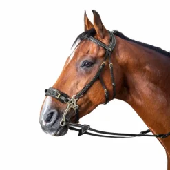 Clearance - Bridon hackamore D Collection Bridons Poneys|Bridons