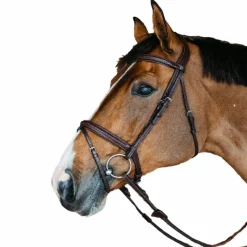 Bridons Poneys|Bridons*Dyon - Bridon muserolle combinée New English cuir Havane