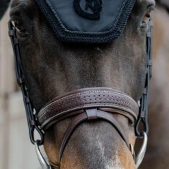 Best - Bridon muserolle combinée Tressé Pull Back Bridons Poneys|Bridons