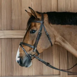 Bridons Poneys|Bridons*Dyon - Bridon muserolle combinée avec mousquetons Working By Havane