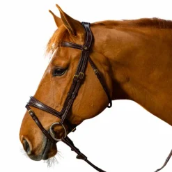 Bridons Poneys|Bridons*Dyon - Bridon muserolle combinée anatomique D Collection Noir