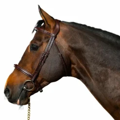 Bridons Poneys|Bridons*Dyon - Bridon muserolle combinée New English Collection Havane