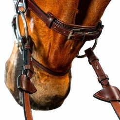 Bridons Poneys|Bridons*Dyon - Bridon muserolle combinée New English Collection Havane