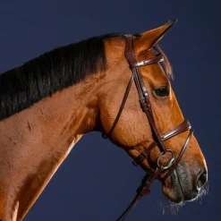 Bridons Poneys|Bridons*Dyon - Bridon muserolle combinée anatomique New English Collection Havane