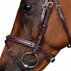 Bridons*Dyon - Bridon muserolle combinée Dy'on Collection Marron