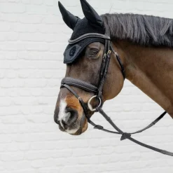 Bridons Poneys|Bridons*Dyon - Bridon muserolle combinée Tressé Pull Back Noir